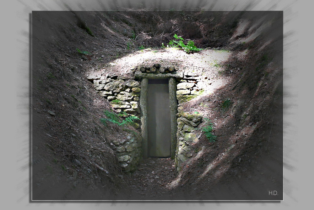 Mundloch: Altes Glücksrad (Faule Birke)