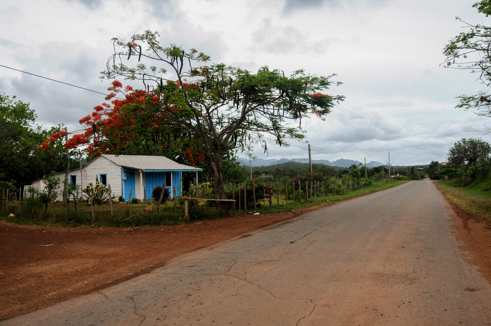 Mundo rural