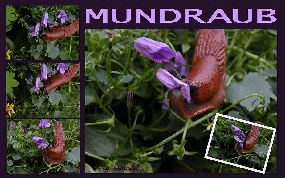 "Mundraub" ...