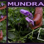 "Mundraub" ...