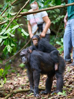 Mundschutz ist Pflicht