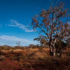 Mungaroona Range Nature Reserve