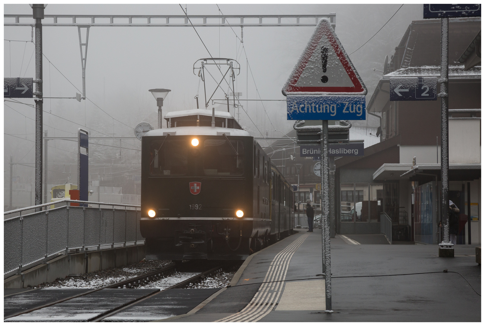 Muni auf dem Brünigpass