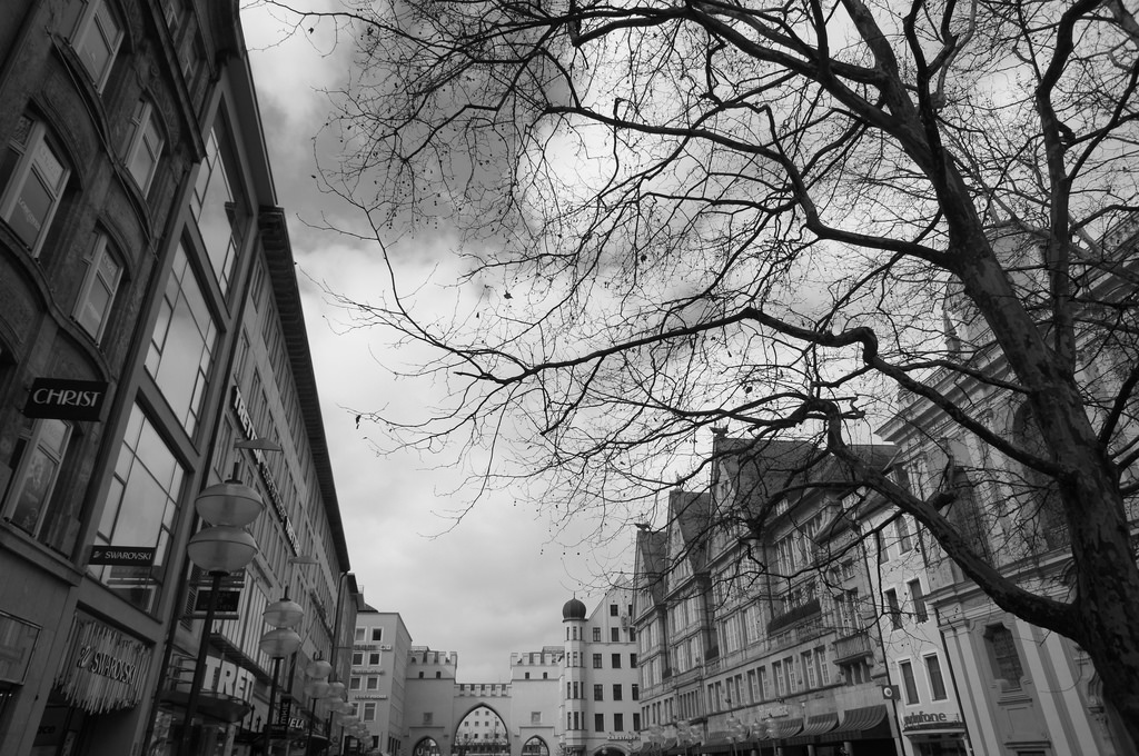 Munich beyond the trees...