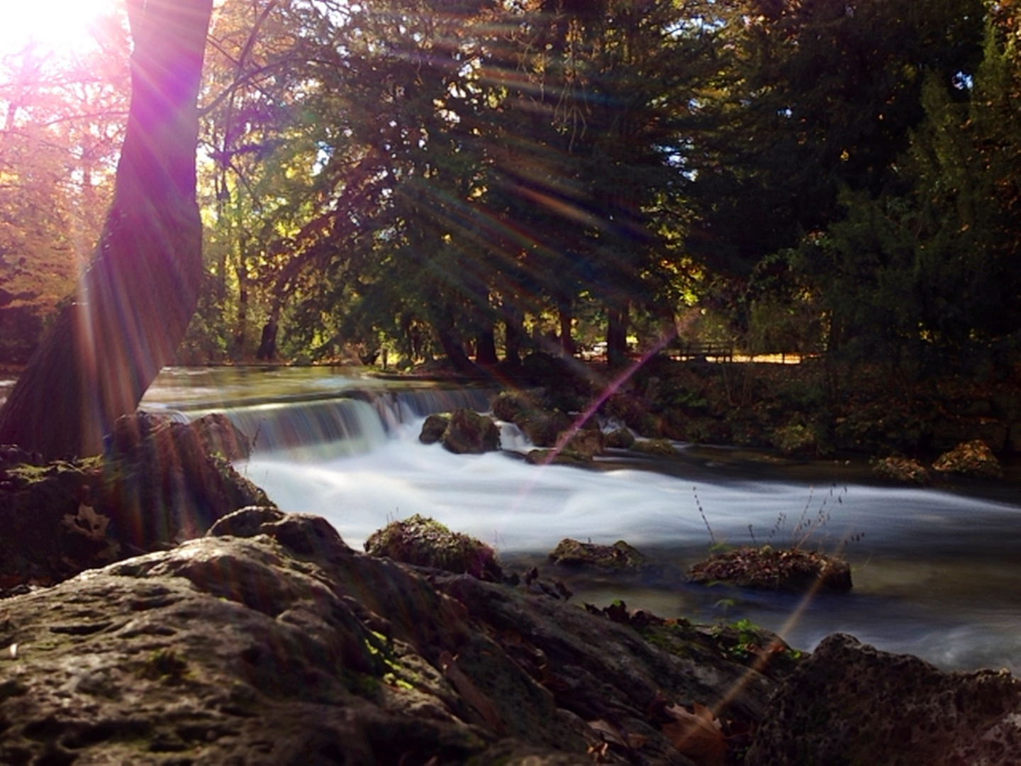 Munich Englischer Garten