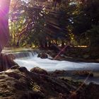 Munich Englischer Garten