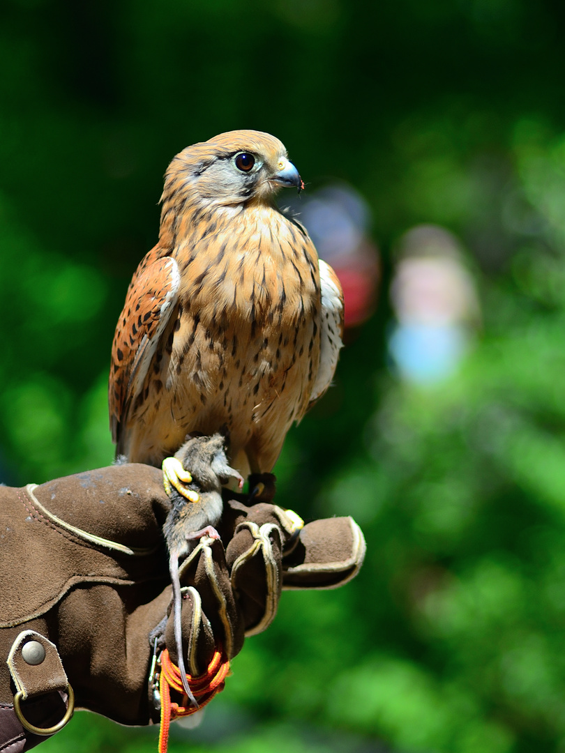 Munich Hellabrunn Zoo