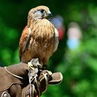 Munich Hellabrunn Zoo