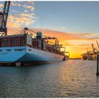 Munich Maersk