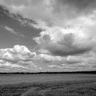 Munich Outback in B&W