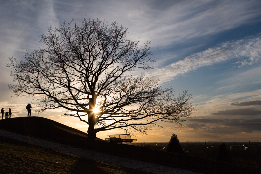 Munich Sunset - Olympiapark