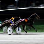 Munich Trotting Race Part I