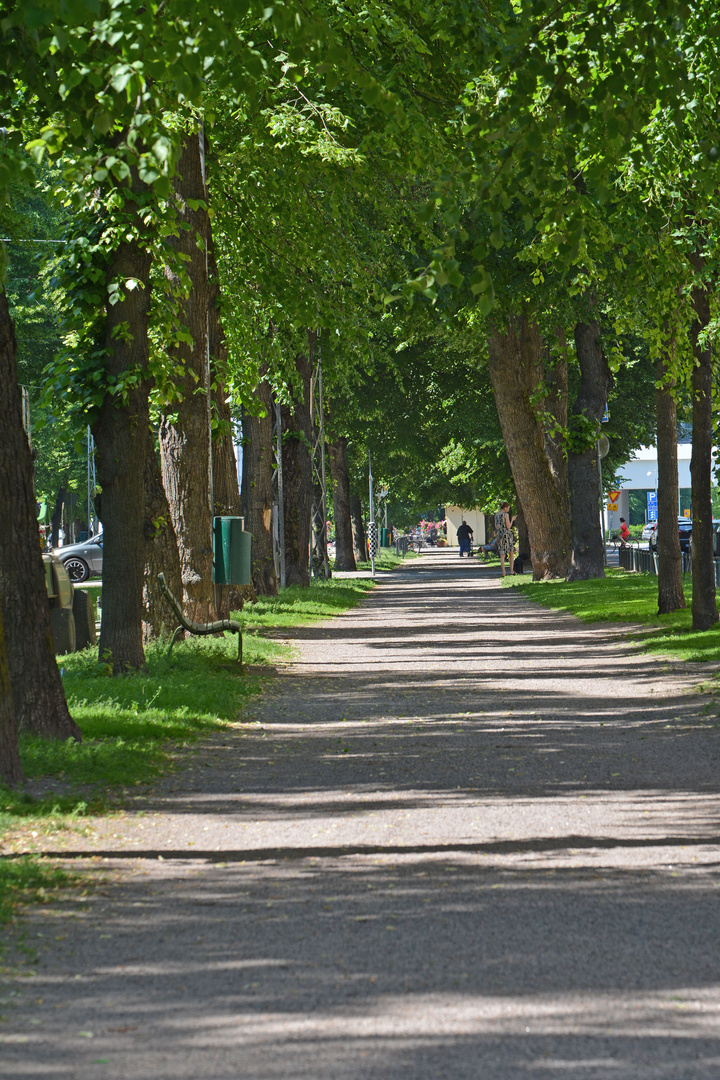 Munkkiniemi, The walking way