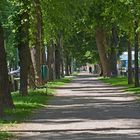 Munkkiniemi, The walking way