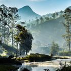 Munnar Hillstation