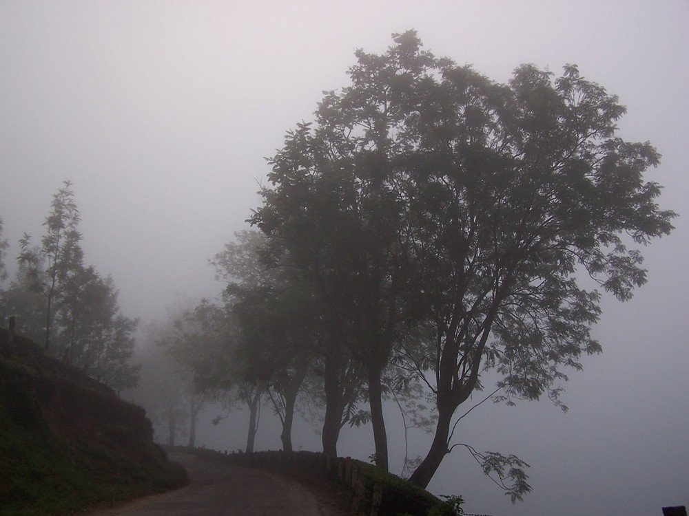 Munnar, Kerala