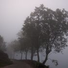 Munnar, Kerala