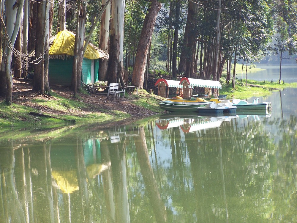 Munnar, Kerala