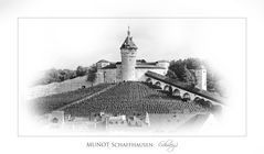 MUNOT SCHAFFHAUSEN