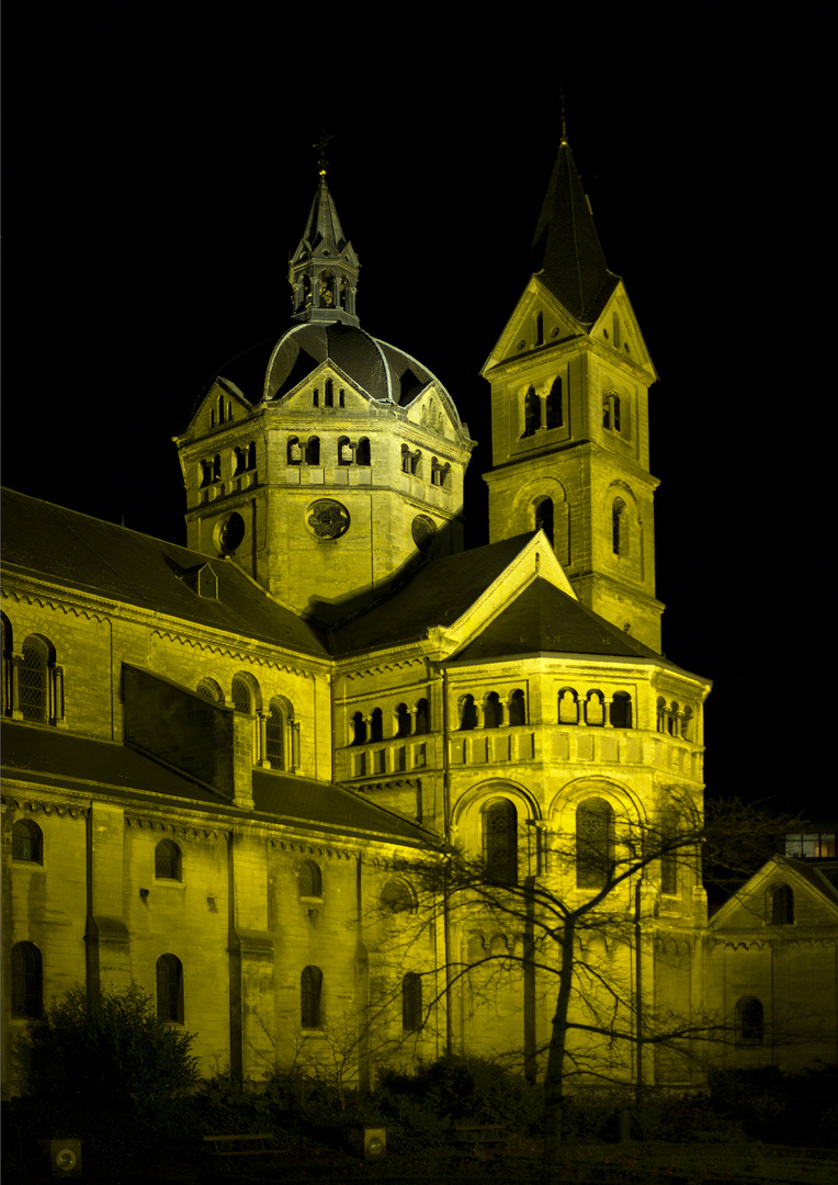 Munsterkerk in Roermond bei Nacht