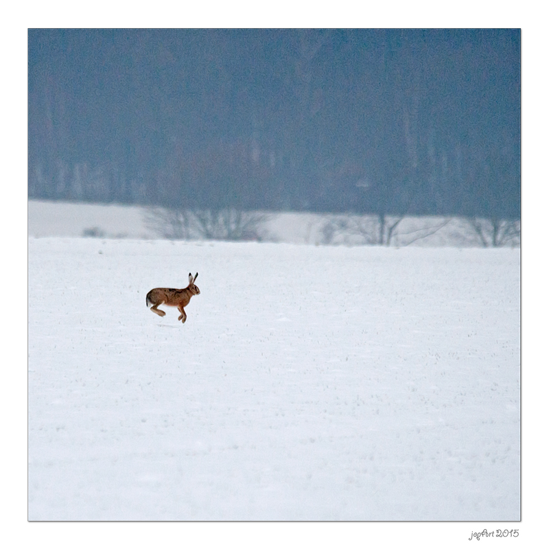 Munteres Schneetreiben...