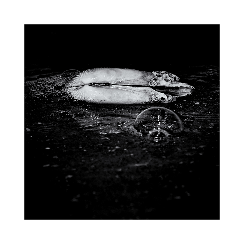 mupfel in the dark . . . Foto &amp; Bild | art, spezial, wasser Bilder auf ...