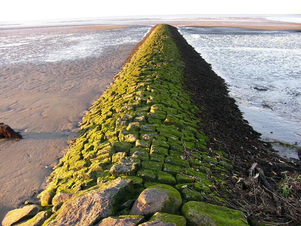 Mur au bord de la mer (Stack)