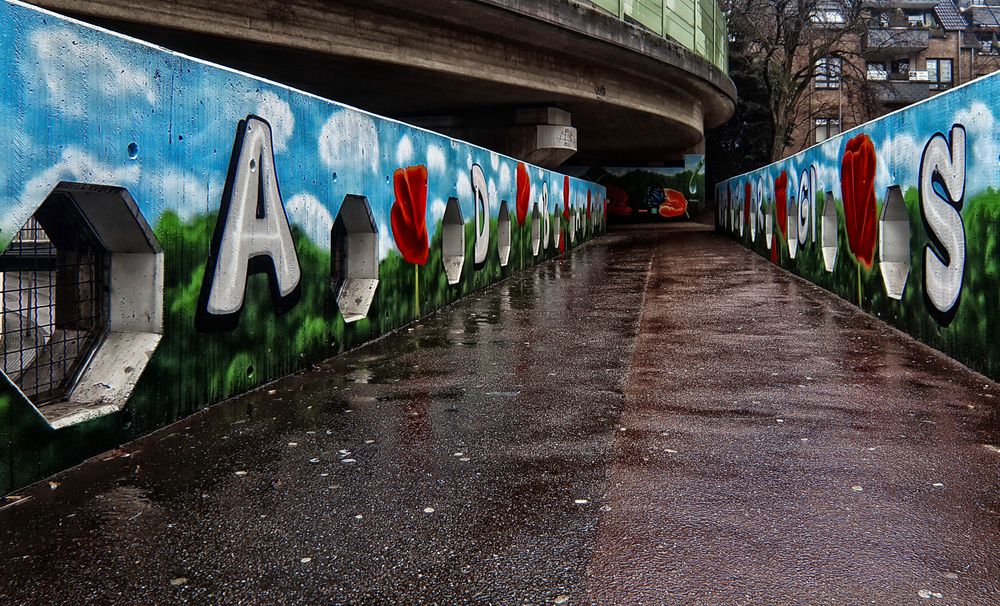 Mur coquelicot