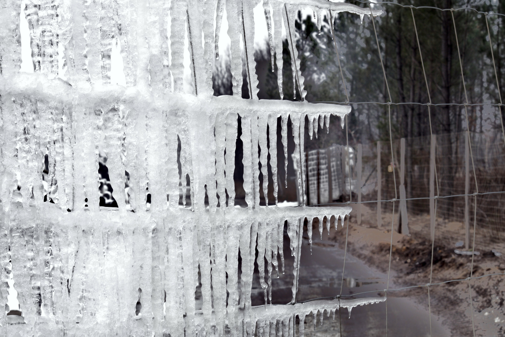 MUR DE GLACE