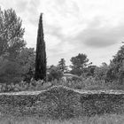 Mur de pierres sèches