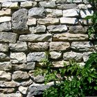 mur pierre et végétation