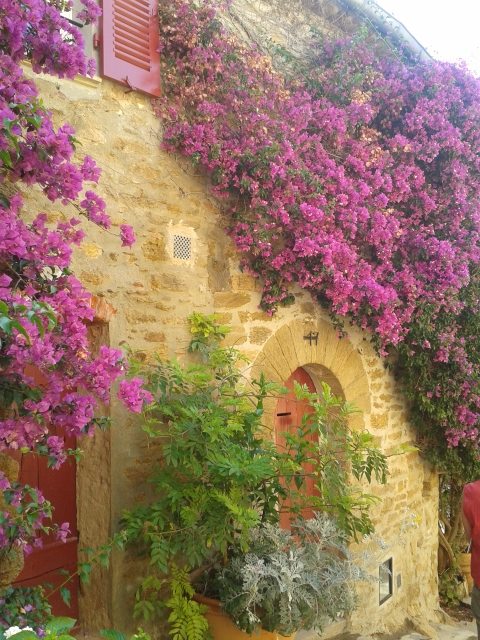 muraille de fleurs