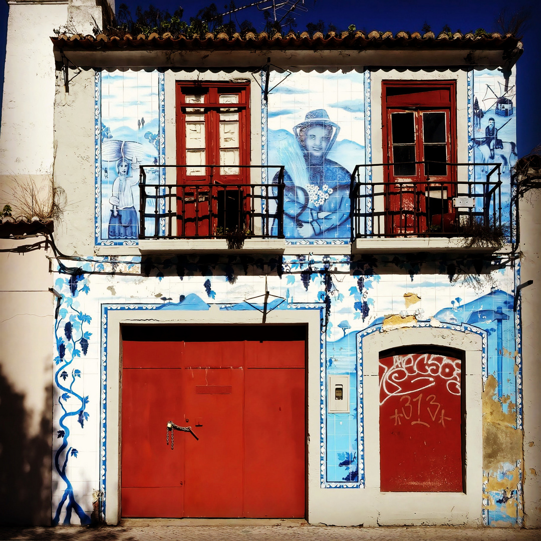 Mural art - Setubal - Portugal 