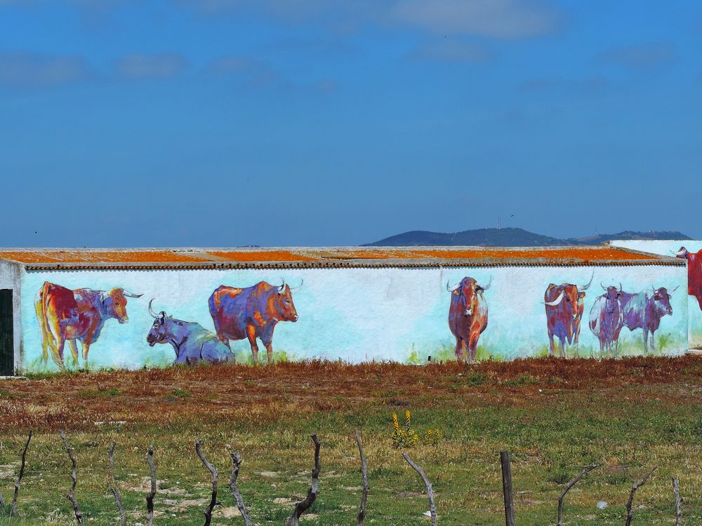 murales andalusi