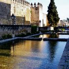 Muralla Puerta de Almodovar-Córdoba