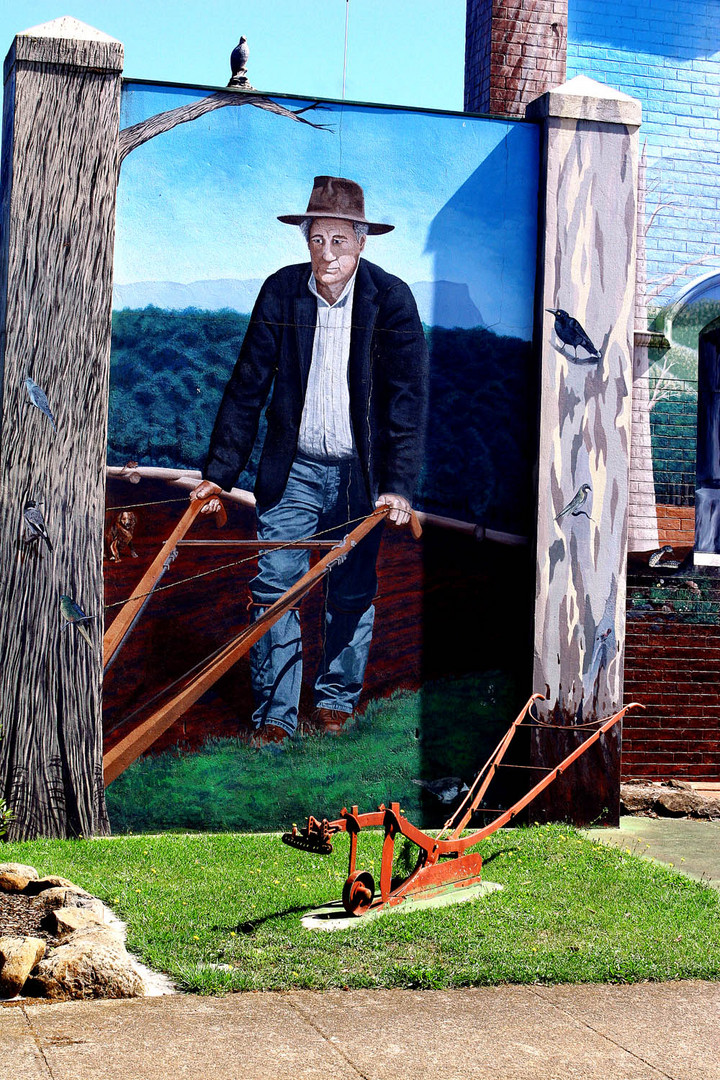 Murals at Sheffield, Tasmania (1)