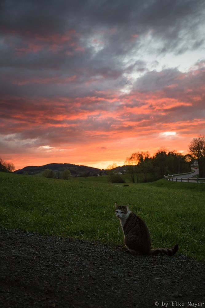 ***Murat und der Sonnenuntergang***