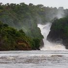 [ Murchison Falls ] 