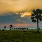 Murchison Falls NP