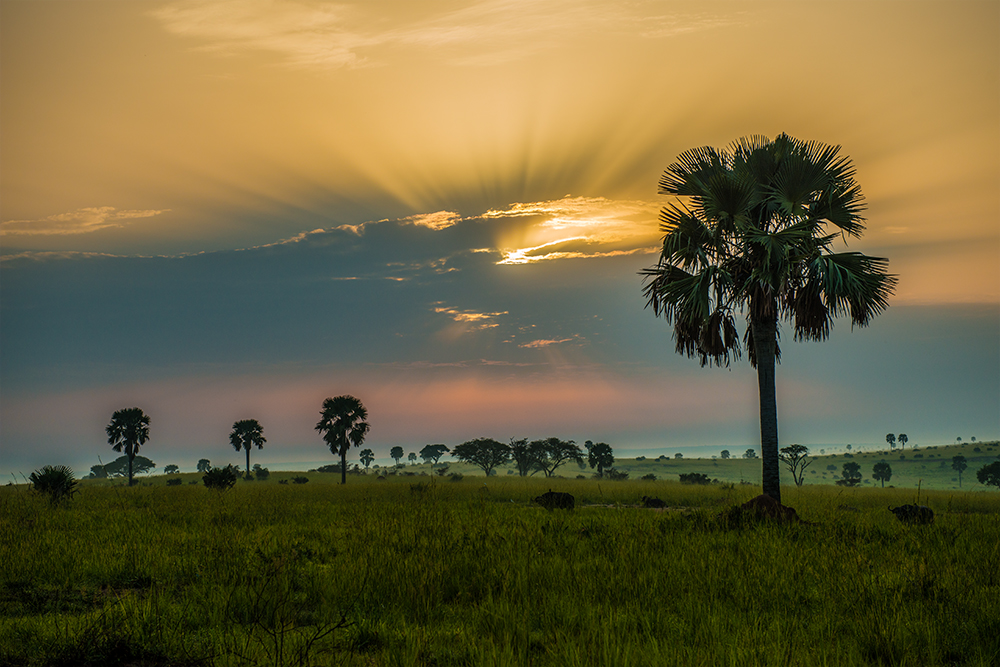 Murchison Falls NP