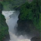 murchison falls - von unten