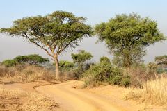 Murchison NP