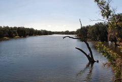 Murchison River