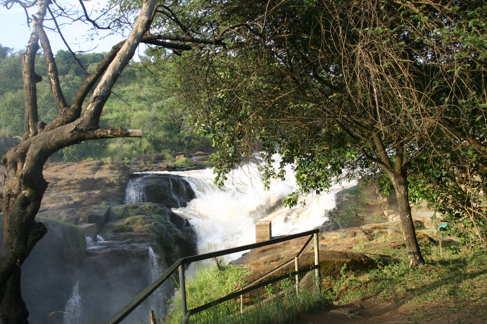 Murchisonfalls Uganda