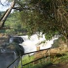 Murchisonfalls Uganda