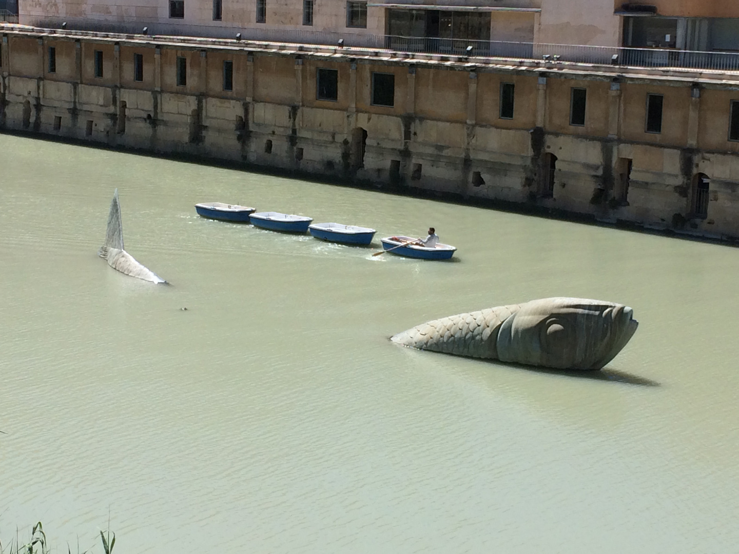 Murcia – Fish in the river