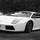 Murciélago