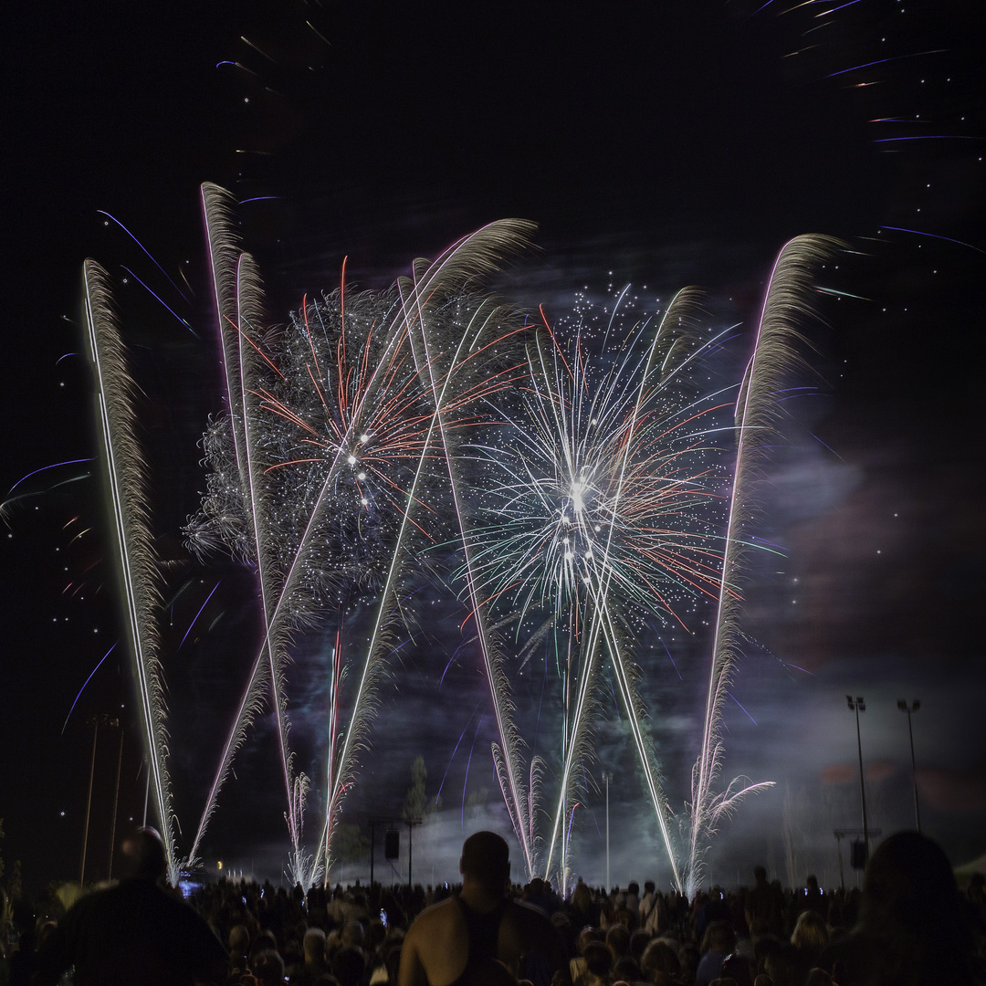 MURET (France), 14 Juillet 2017.