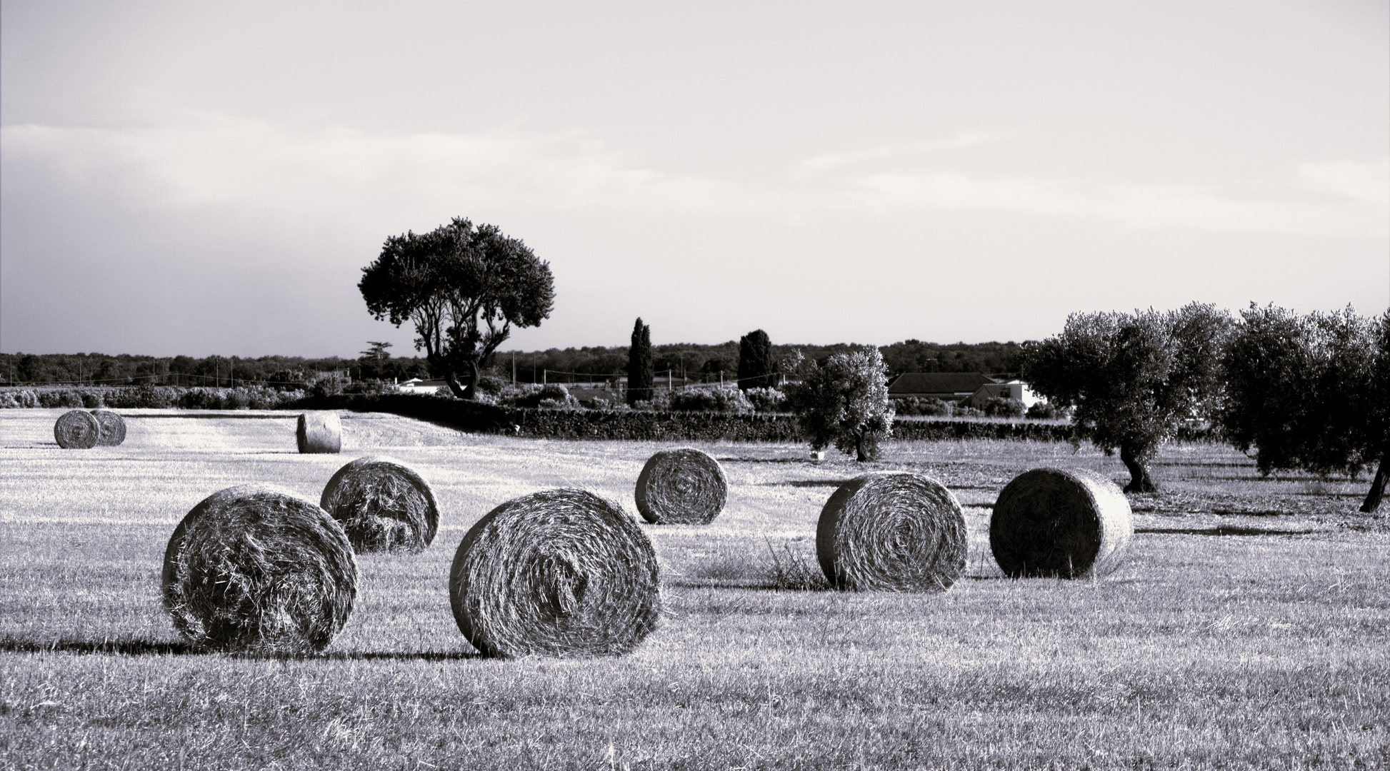 murgia tarantina - puglia