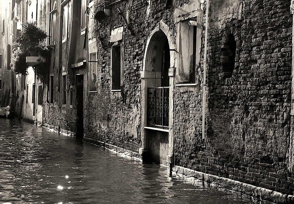 Muri vecchi di Venezia